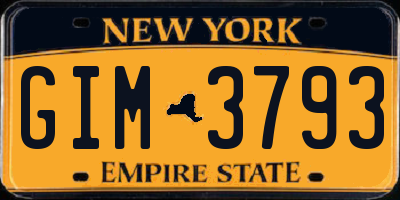 NY license plate GIM3793