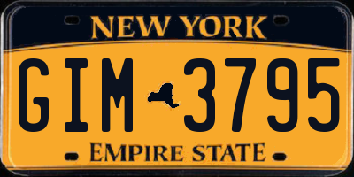 NY license plate GIM3795