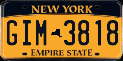NY license plate GIM3818