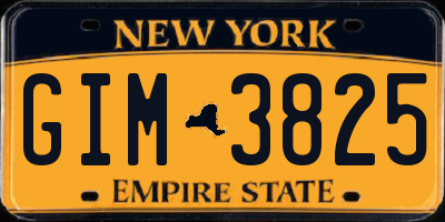 NY license plate GIM3825