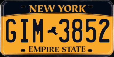 NY license plate GIM3852