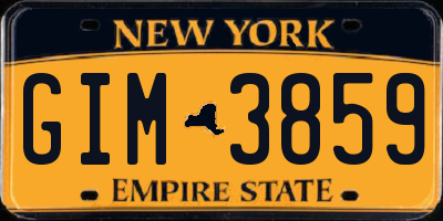 NY license plate GIM3859