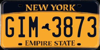 NY license plate GIM3873