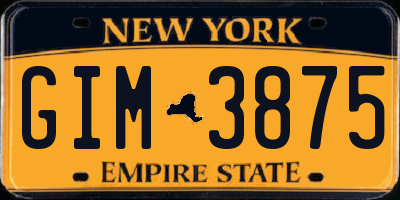 NY license plate GIM3875