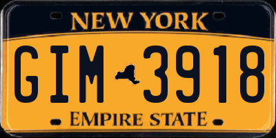 NY license plate GIM3918