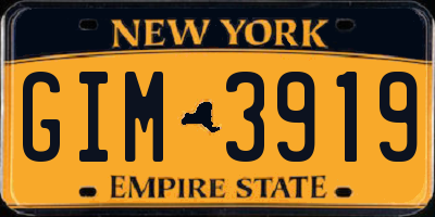 NY license plate GIM3919