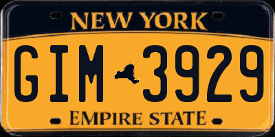 NY license plate GIM3929