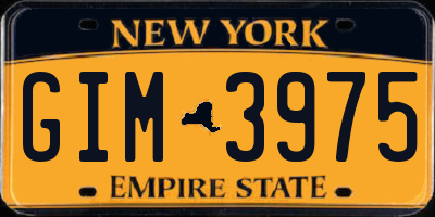NY license plate GIM3975