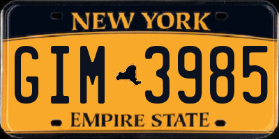 NY license plate GIM3985
