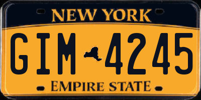 NY license plate GIM4245