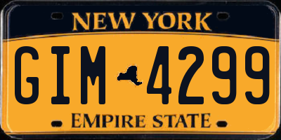NY license plate GIM4299