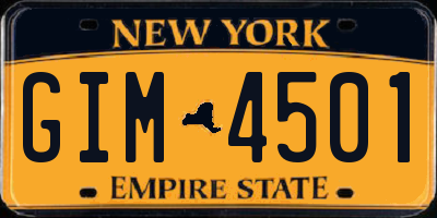 NY license plate GIM4501