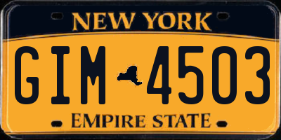 NY license plate GIM4503