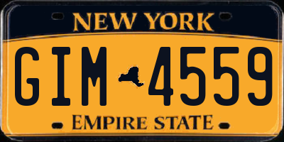 NY license plate GIM4559