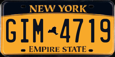 NY license plate GIM4719