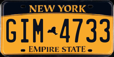 NY license plate GIM4733