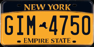 NY license plate GIM4750