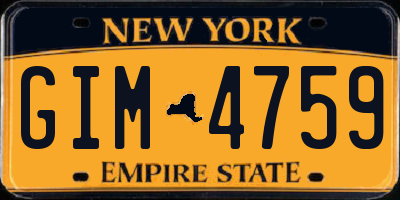 NY license plate GIM4759