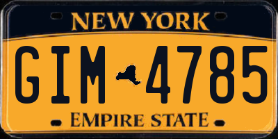 NY license plate GIM4785
