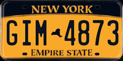 NY license plate GIM4873