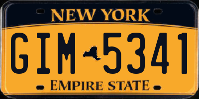 NY license plate GIM5341