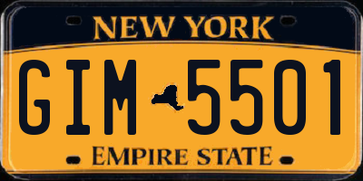 NY license plate GIM5501