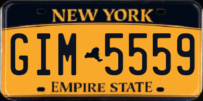 NY license plate GIM5559