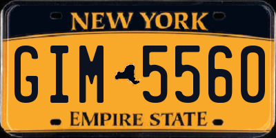 NY license plate GIM5560