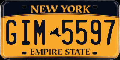 NY license plate GIM5597