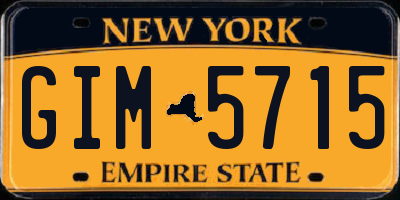 NY license plate GIM5715
