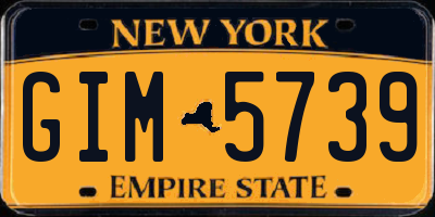 NY license plate GIM5739