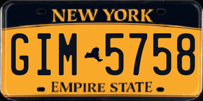 NY license plate GIM5758