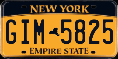 NY license plate GIM5825