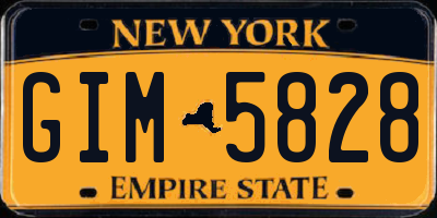 NY license plate GIM5828