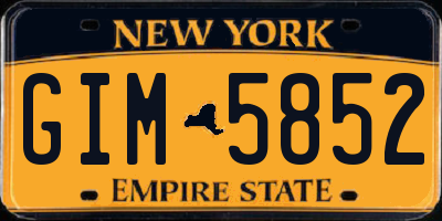 NY license plate GIM5852