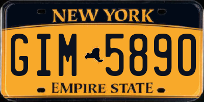 NY license plate GIM5890