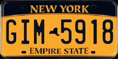 NY license plate GIM5918