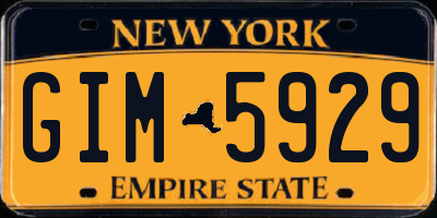 NY license plate GIM5929