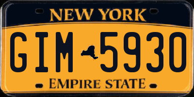 NY license plate GIM5930