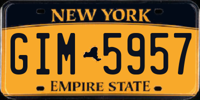 NY license plate GIM5957