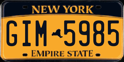 NY license plate GIM5985