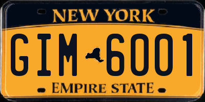 NY license plate GIM6001