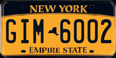 NY license plate GIM6002