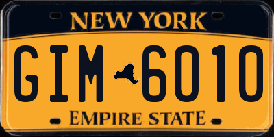 NY license plate GIM6010