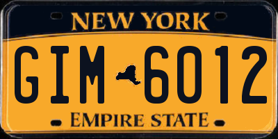 NY license plate GIM6012