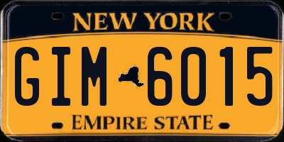 NY license plate GIM6015