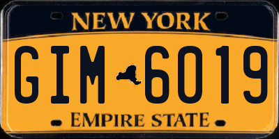 NY license plate GIM6019