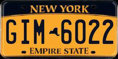 NY license plate GIM6022