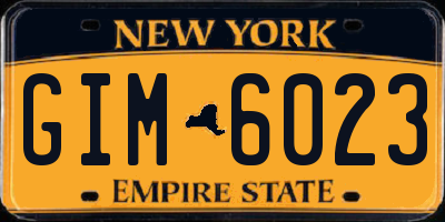 NY license plate GIM6023