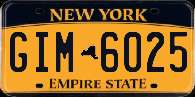 NY license plate GIM6025